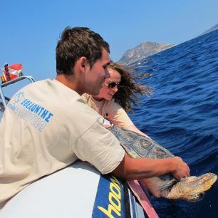 ARCHELON release
